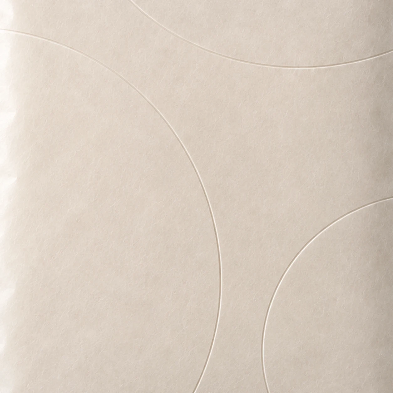 Close-up concept of subtle embossed texture on glassine paper.